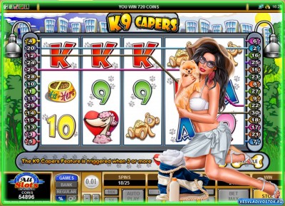 Обзор игрового автомата: K9 Capers в Roxcasino