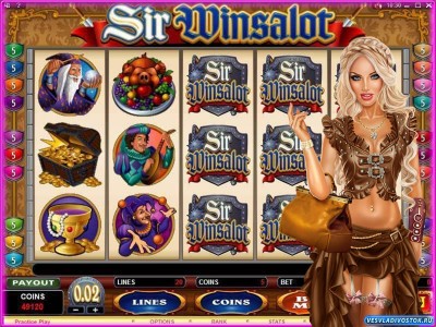 Обзор игрового автомата: Sir Winsalot