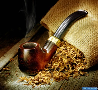Лучший табак находится в сигарном доме «Merry Land»