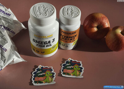 Читать «Почему стоит купить продукцию торговой маркой PowerLabs на сайте интернет-магазина powerlabsnutrition.ru» Почему стоит купить продукцию торговой маркой PowerLabs на сайте интернет-магазина powerlabsnutrition.ru