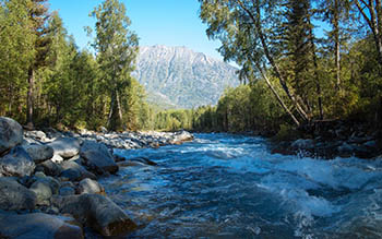 Катунский заповедник