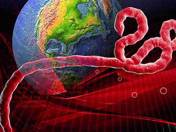 Саратовские ученые отправятся в Гвинейскую Республику изучать вирус Эбола
