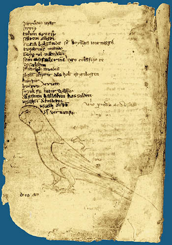 Codex Cumanicus: Половецкие молитвы, гимны и загадки XIII-XIV вв