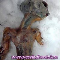 В сибирских снегах обнаружено тело мертвого пришельца