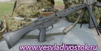 Штурмовая винтовка Тип 89
