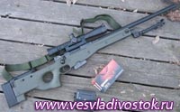 Снайперская винтовка модель 82