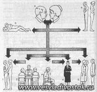 ПРОБЛЕМА СЕКСУАЛЬНОСТИ