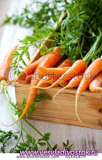 Храните морковь правильно