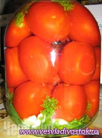 Сохраняйте семена томатов