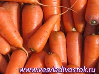 Морковь, стерилизованная в сладкокислой заливке
