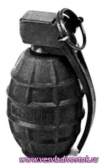 Ручная наступательно-оборонительная граната DM51