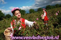 В Болгарии пройдет Фестиваль розы