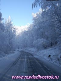  Водитель высадил из автобуса 12-летнего ребенка-инвалида