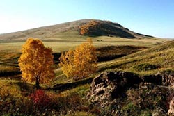 Белок и соболей в заповеднике 