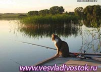 Кстовское районное общество охотников и рыболовов приглашает на соревнование заядлых рыбаков - юниоров.