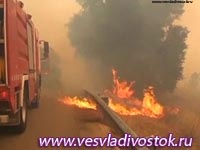 Крупный пожар в Хакасии мог стать результатом поджога, считают в Госкомлесе