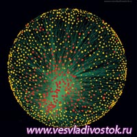 Администрацией Тверской области жестко регламентирован перечень платных медицинских услуг