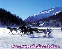Кони на льду: конная спартакиада Хакасии пройдет на озере