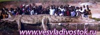 Гигантского африканского крокодила поймали на козленка
