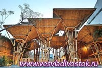 Индонезийский бамбуковый ресторан - отдых под открытым небом (фото)