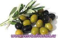 Фестиваль урожая олив (Festival de la Cosecha de olivos) ждет своих гостей