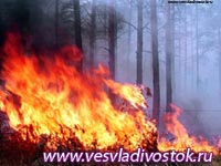 Запрет на сжигание мусора и разведение костров введен в Хакасии из-за сухой погоды