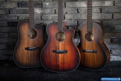 Акустические гитары: выбираем и покупаем в интернет-магазине